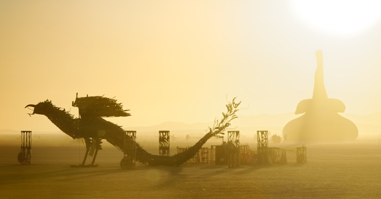 Burning Man 2019   1070